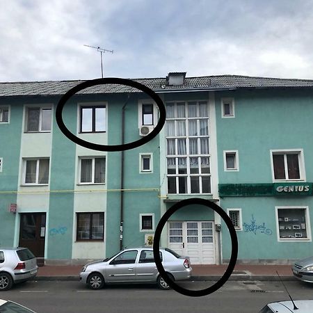 Vintage Apartment Szucsáva Kültér fotó
